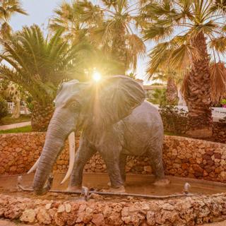 Hotel Marina Parc by Mij | Menorca | Photo Gallery - 39